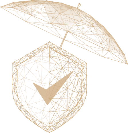 Transfromation Accelerators