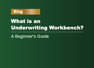 Why Human-in-the-Loop is Essential in Insurance AI