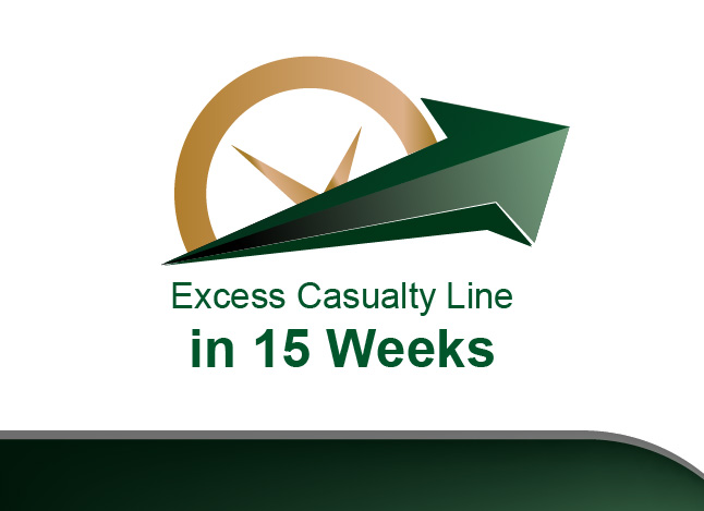15-Week Excess Casualty Launch: National Carrier Case Study