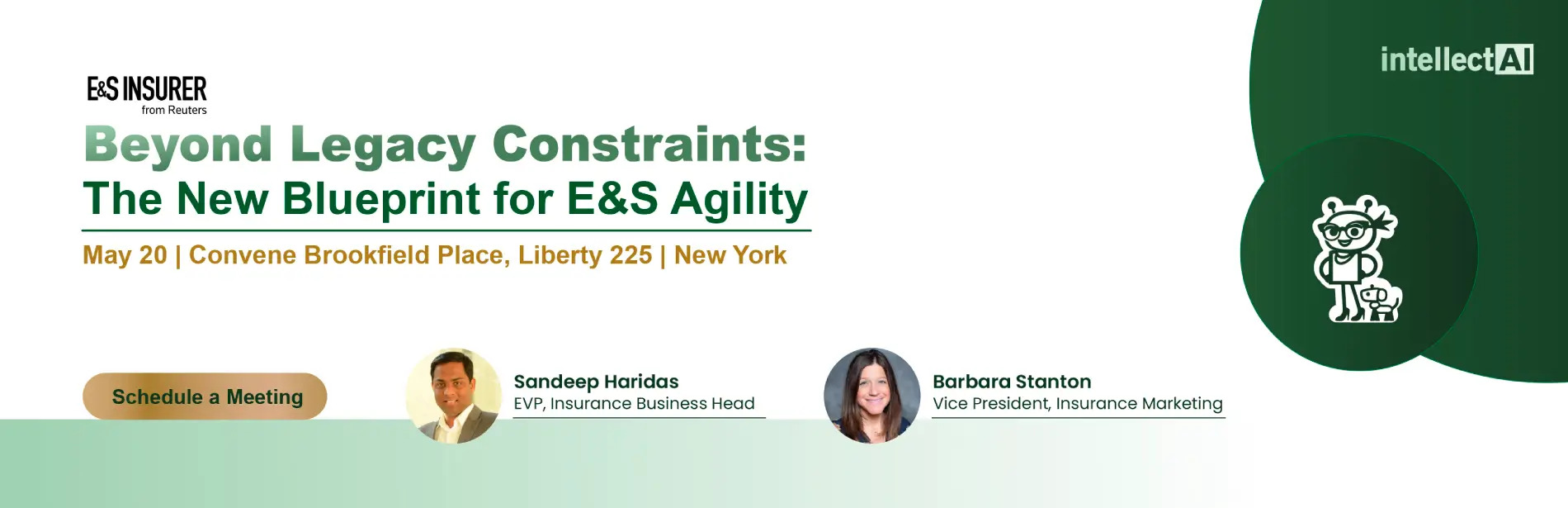 E & S Insurer